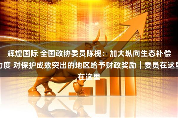 辉煌国际 全国政协委员陈槐：加大纵向生态补偿力度 对保护成效突出的地区给予财政奖励｜委员在这里