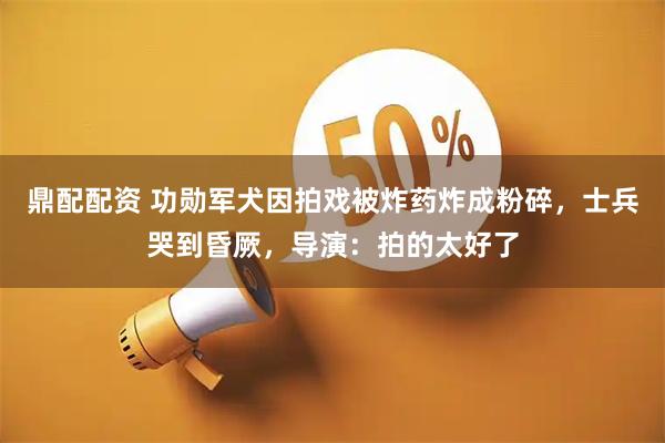 鼎配配资 功勋军犬因拍戏被炸药炸成粉碎，士兵哭到昏厥，导演：拍的太好了