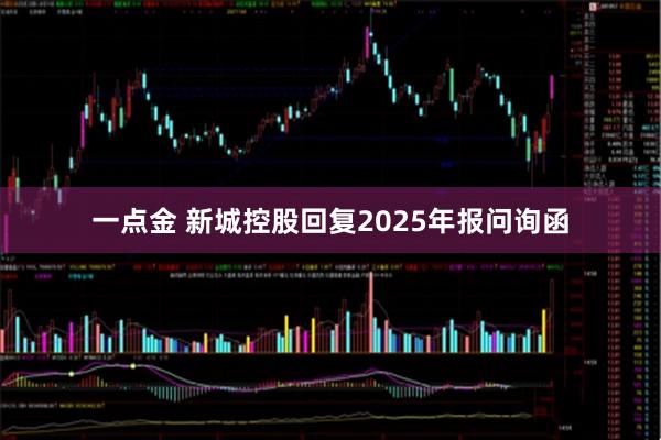 一点金 新城控股回复2025年报问询函